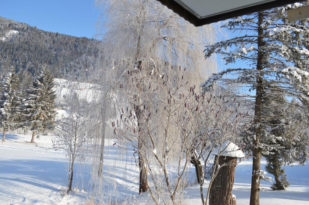 Chalet Kammleitn Hermagor-Pressegger See Luaran gambar